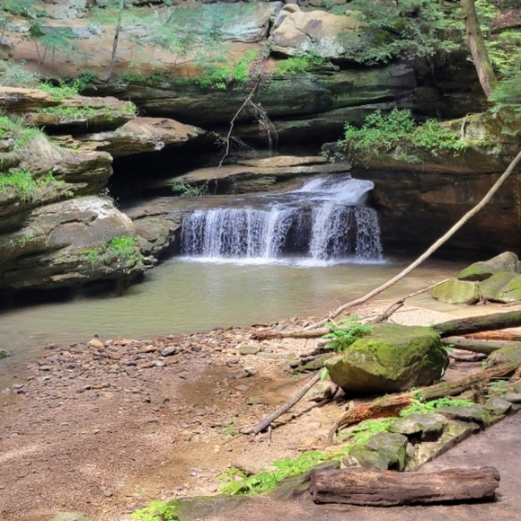 Meet your Posher, Jerry - Picture 4 of 17